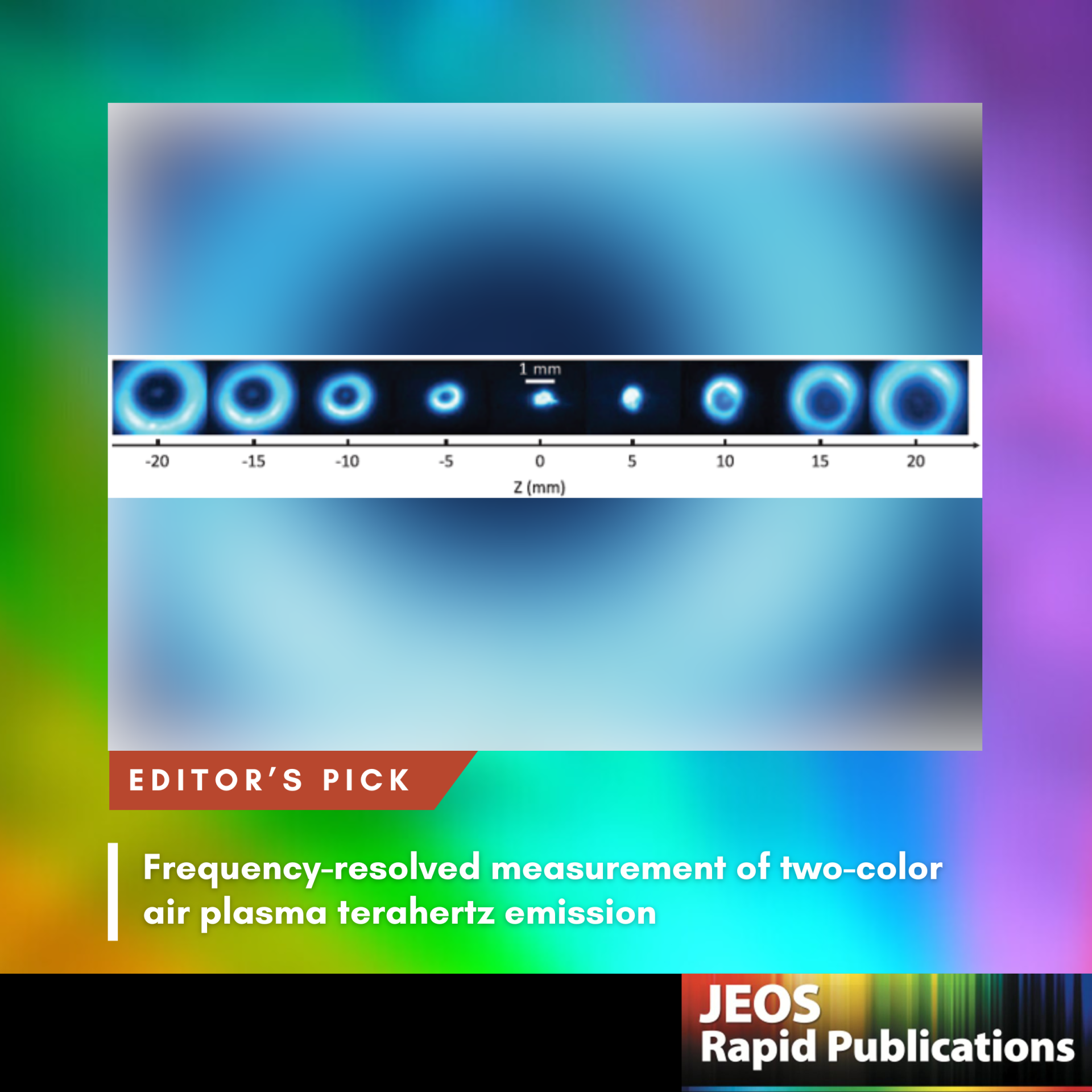 Editor’s Pick November 2024